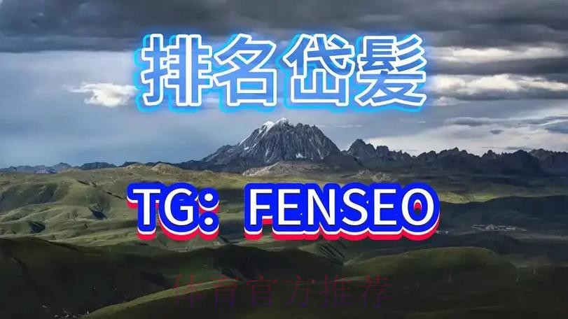 世界杯买球平台官方网址推荐与安全指南